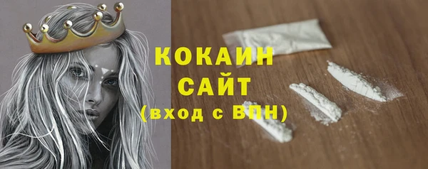 мдпв Елабуга