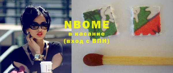 мдпв Елабуга