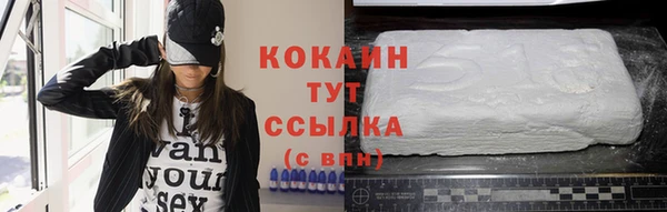 МДПВ Ельня