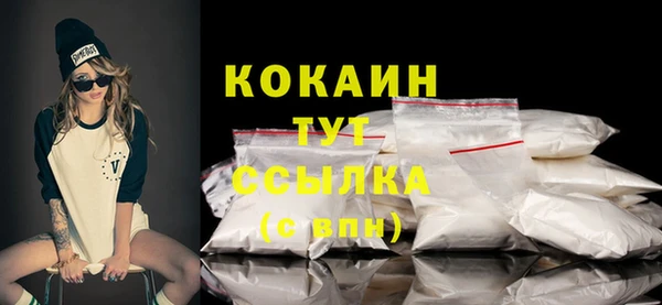 МДПВ Елизово