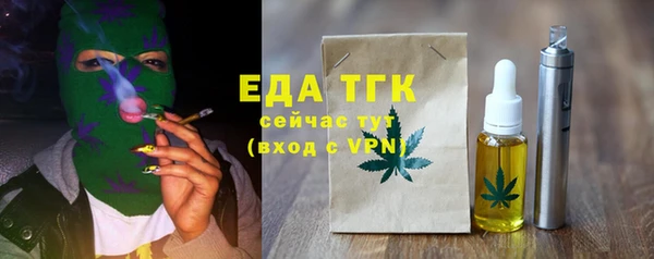 мдпв Елабуга
