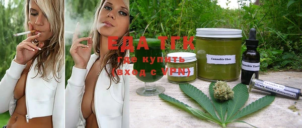 МДПВ Ельня
