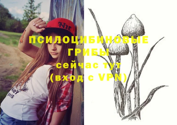 мдпв Елабуга