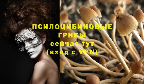 МДПВ Ельня