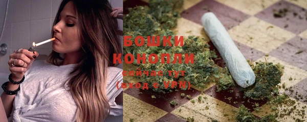 МДПВ Ельня