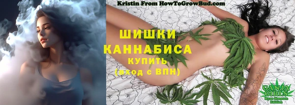 МДПВ Елизово