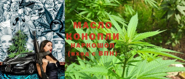 мдпв Елабуга