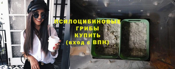 МДПВ Елизово
