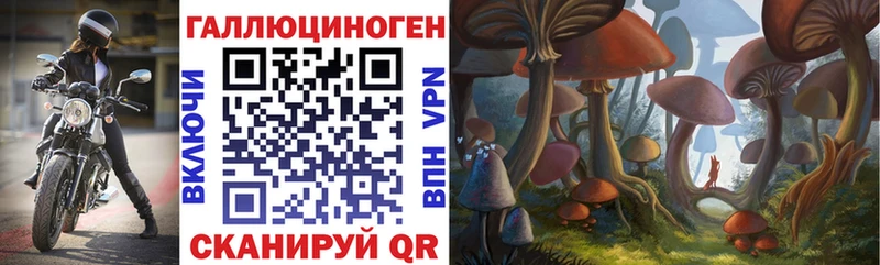 Псилоцибиновые грибы прущие грибы  Купить где  Инза 